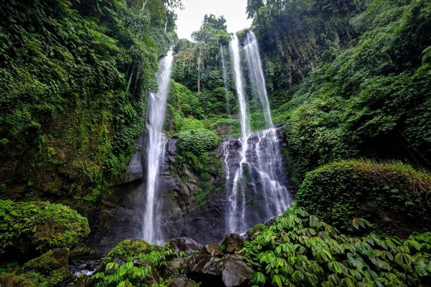 Picture 2 for Activity Bali: Hill Side Lemukih Treeking with Amazing view