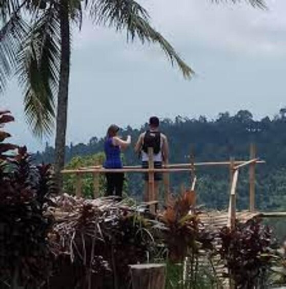 Picture 5 for Activity Bali: Hill Side Lemukih Treeking with Amazing view