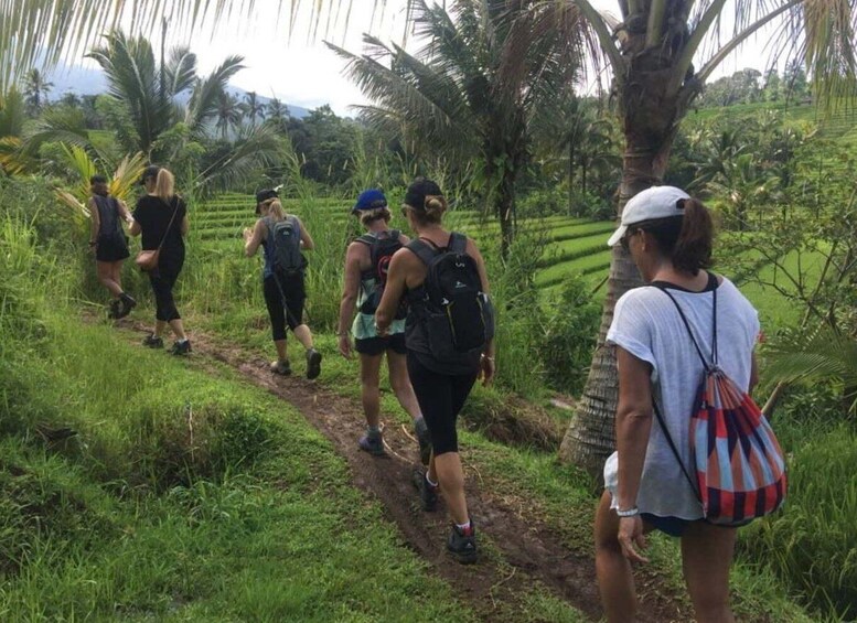 Picture 3 for Activity Bali: Hill Side Lemukih Treeking with Amazing view