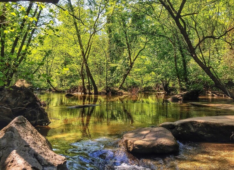 Richmond: Guided Hike in James River Park