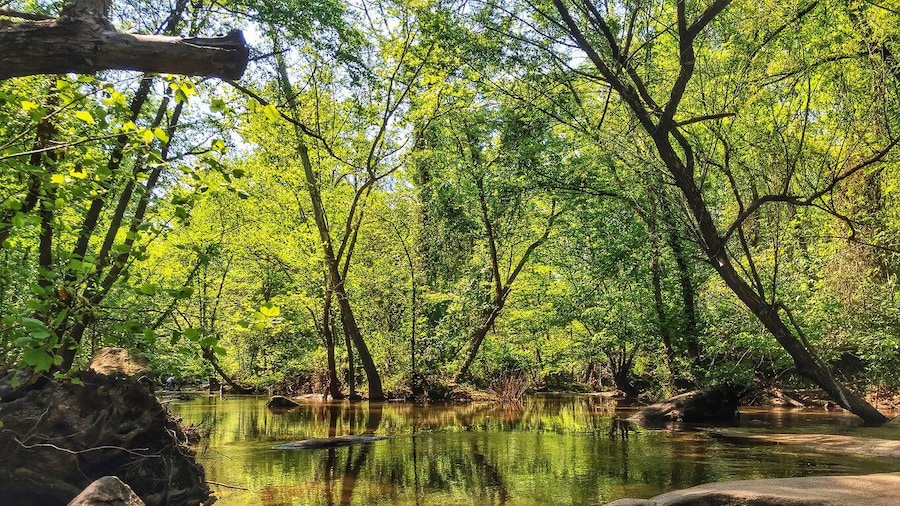 Richmond: Guided Hike in James River Park