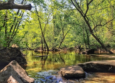 Richmond: Geführte Wanderung im James River Park