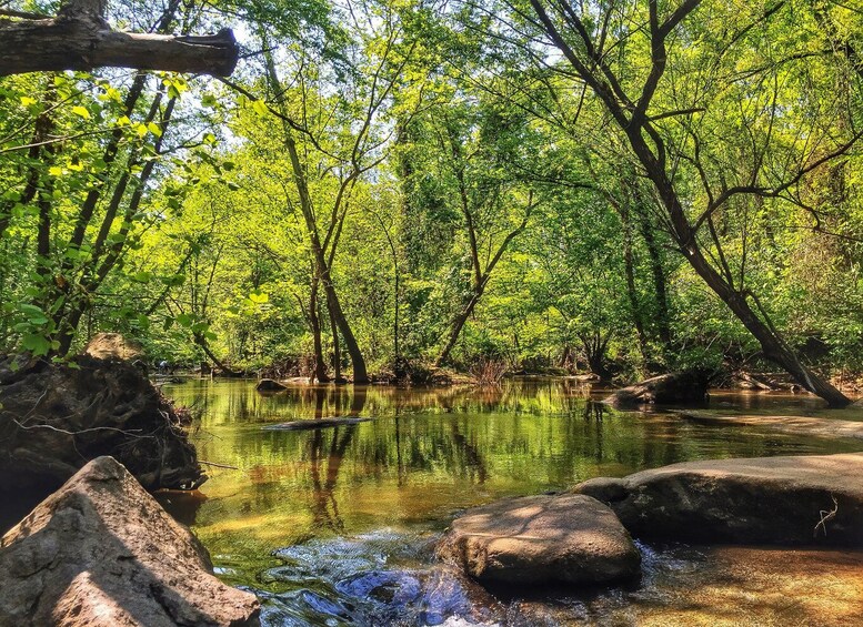 Richmond: Guided Hike in James River Park