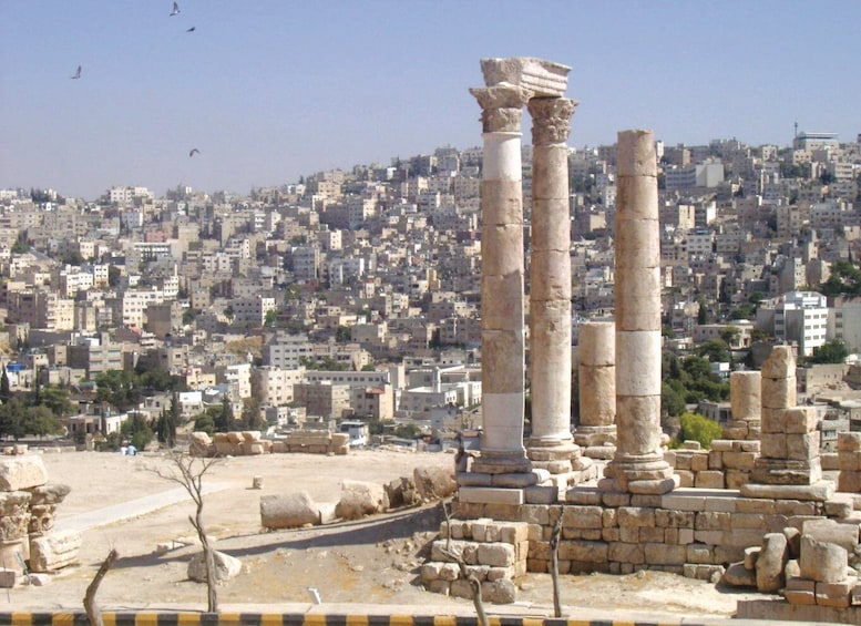 Picture 19 for Activity From Amman : Full-Day Tour of Amman city and Desert Castles