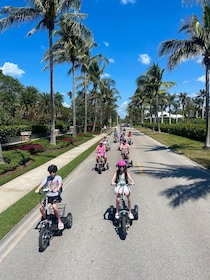 Naples Florida: City centre Electric Trike Tour