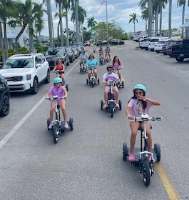 Naples Florida: City centre Electric Trike Tour
