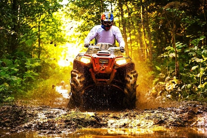 Kingston: Tropical Off-Road quad bike Tour with Lunch and Transfer