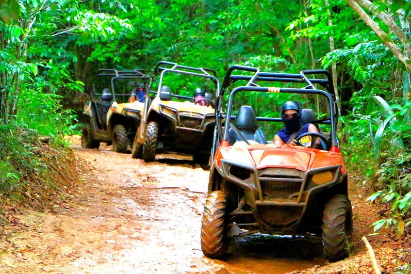 Picture 2 for Activity Kingston: Tropical Off-Road ATV Tour with Lunch and Transfer