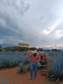 Get on Chile: know everything about tequila in "La Rienda"
