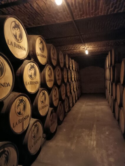 Picture 4 for Activity Get on Chile: know everything about tequila in "La Rienda"