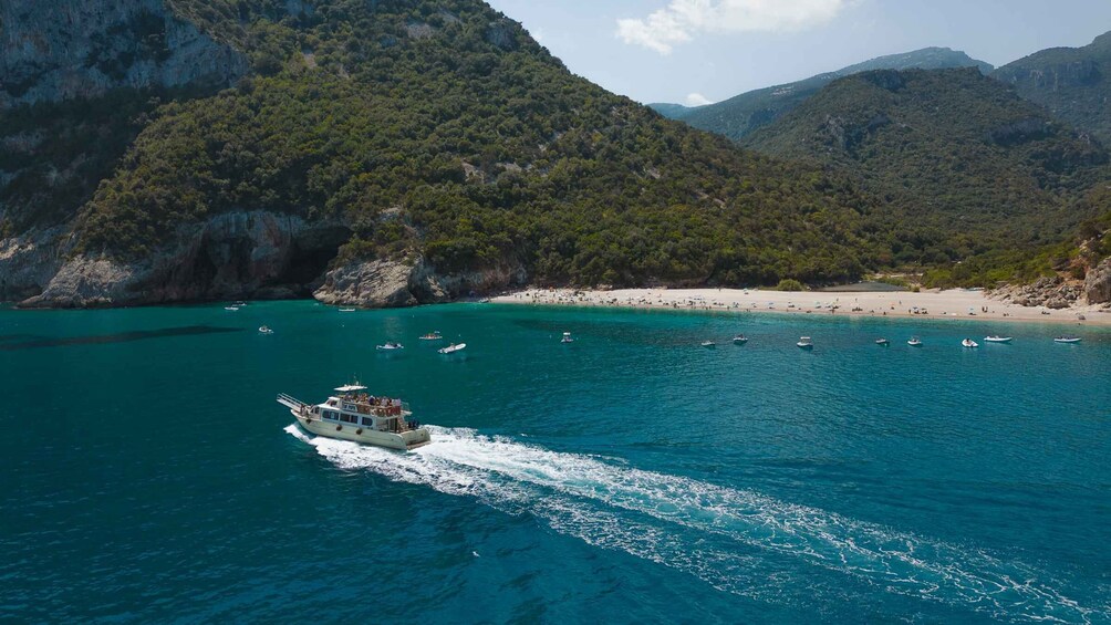 Picture 8 for Activity Cala Gonone: Gulf of Orosei Cruise with Swimming & Aperitif