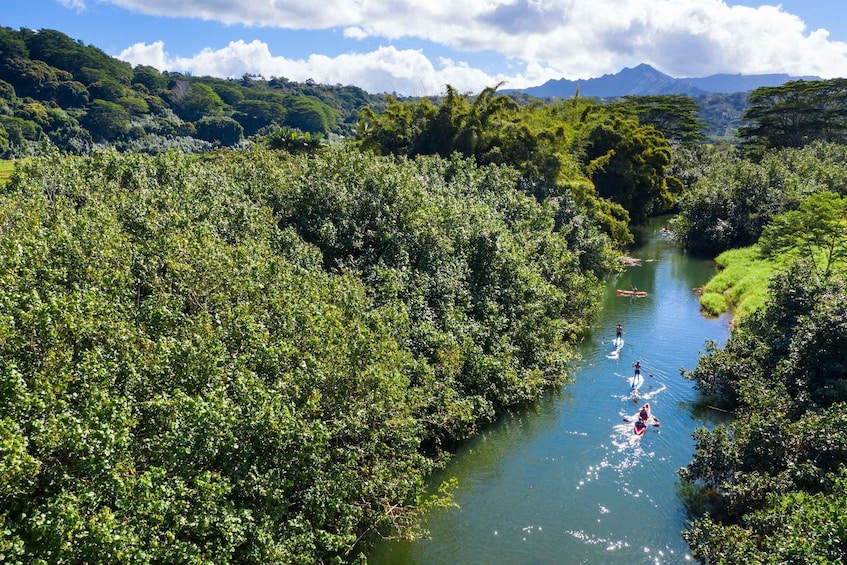 Picture 1 for Activity Palomino: Palomino River Paddle Board Adventure