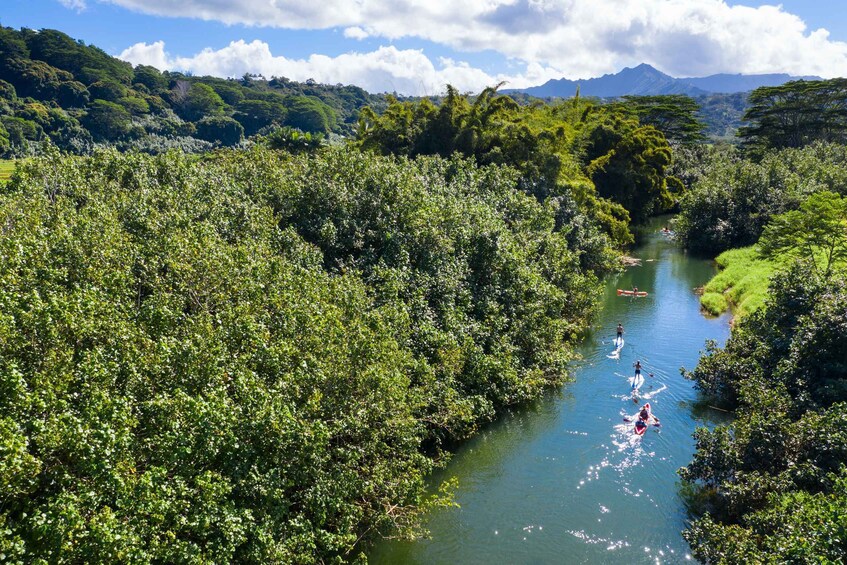 Picture 1 for Activity Palomino: Palomino River Paddle Board Adventure