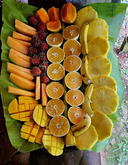 Picture 10 for Activity Panana City: Embera Tribe and River Swimming with Lunch