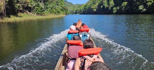 巴拿馬城：安貝拉土著部落和河流遊覽含午餐