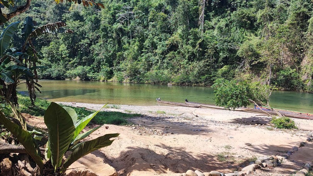 Picture 6 for Activity Panana City: Embera Tribe and River Swimming with Lunch