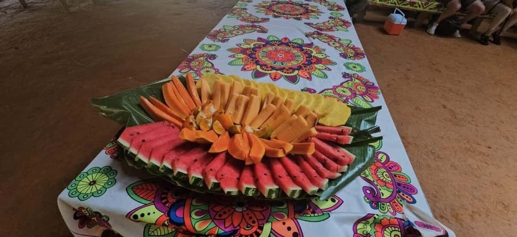 Picture 11 for Activity Panama City: Embera Indian Tribe Express Tour with Lunch