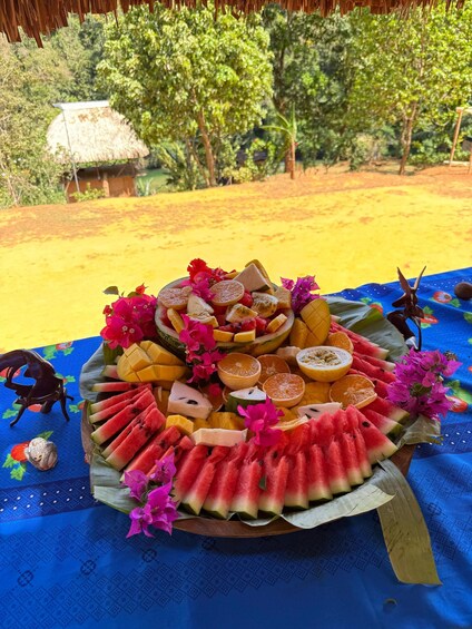 Picture 9 for Activity Panama City: Safe Embera Tribe Experience with Lunch & Fruit