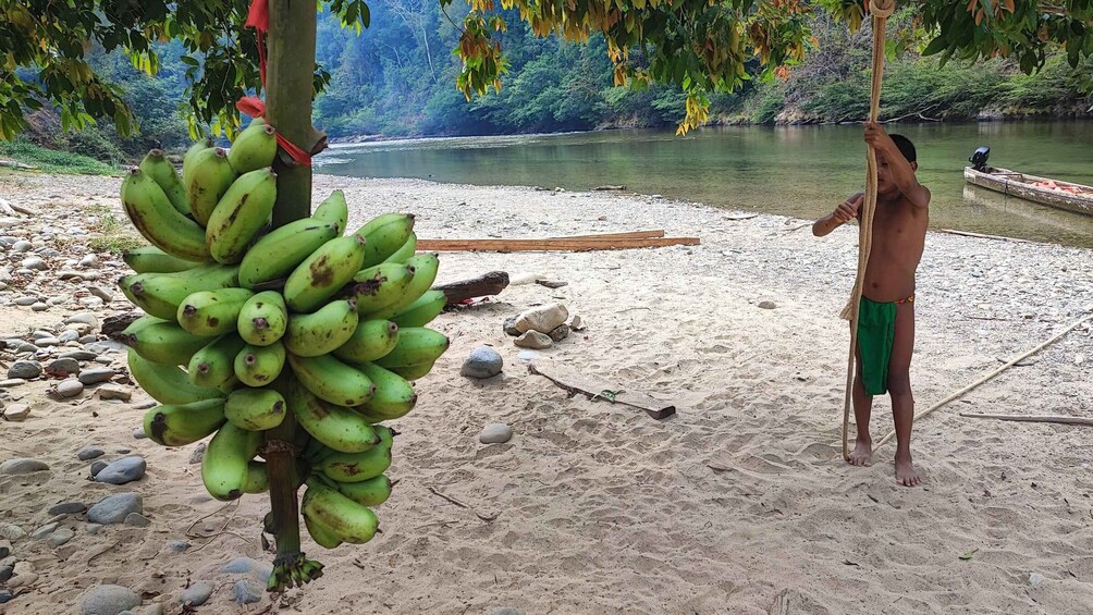 Picture 4 for Activity Panana City: Embera Tribe and River Swimming with Lunch