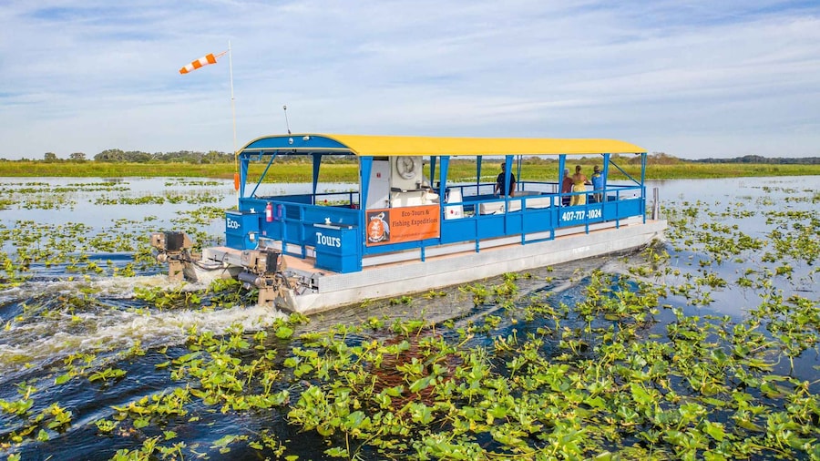 Florida: 90 Minute Everglades Cruise
