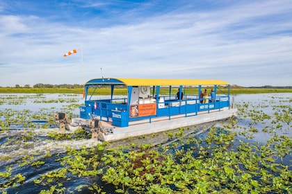 Florida: 90 Minute Everglades Cruise
