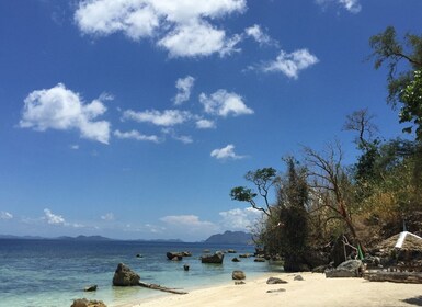 Coron : Privé excursion avec le lac Kayangan et le Twin Lagoon