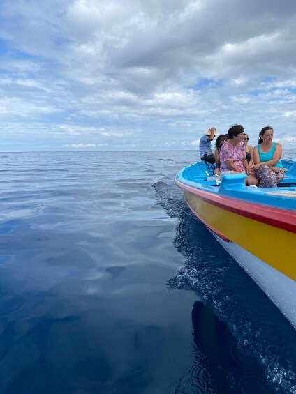 Picture 7 for Activity Memória Baleeira - Unforgetable Ride in the waters of Pico