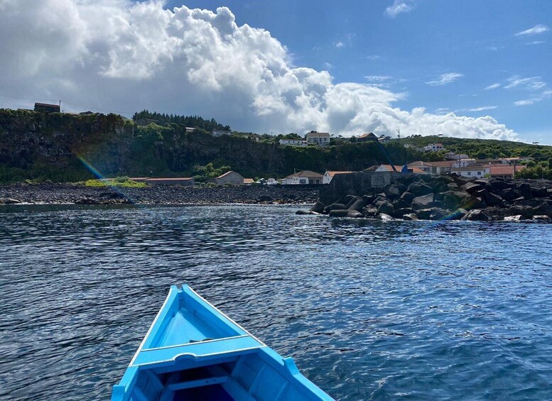 Memória Baleeira - Unforgetable Ride in the waters of Pico