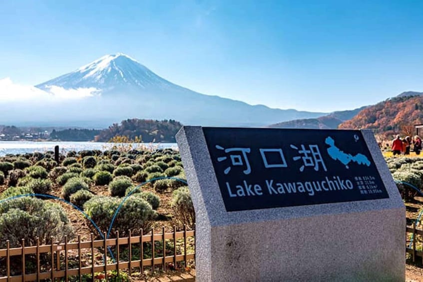 Picture 7 for Activity Lake Kawaguchi from Tokyo Express Bus Oneway/Roundway