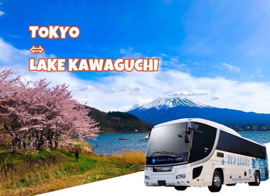 Lake Kawaguchi från Tokyo Express Bus Oneway/Roundway