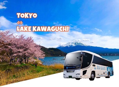 Autobús exprés de ida y vuelta desde el lago Kawaguchi