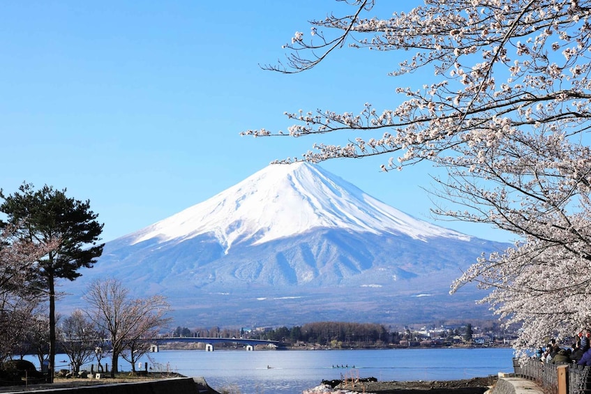 Picture 1 for Activity Lake Kawaguchi from Tokyo Express Bus Oneway/Roundway