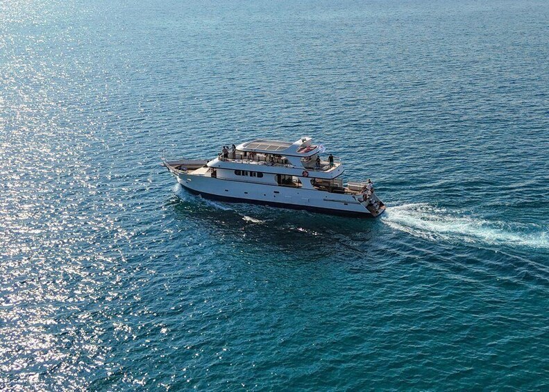Picture 7 for Activity Cyprus: Relaxing Cruise at Larnaca Bay with Glass Bottom