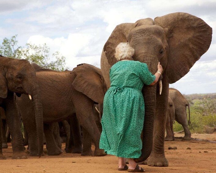 Picture 6 for Activity From Nairobi: Kazuri beads, Baby Elephant and Giraffe Centre