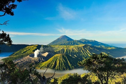From Probolinggo: 2-Day Mount Bromo and Ijen Volcano Tour