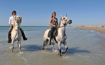 Bodrum: experiencia de equitación