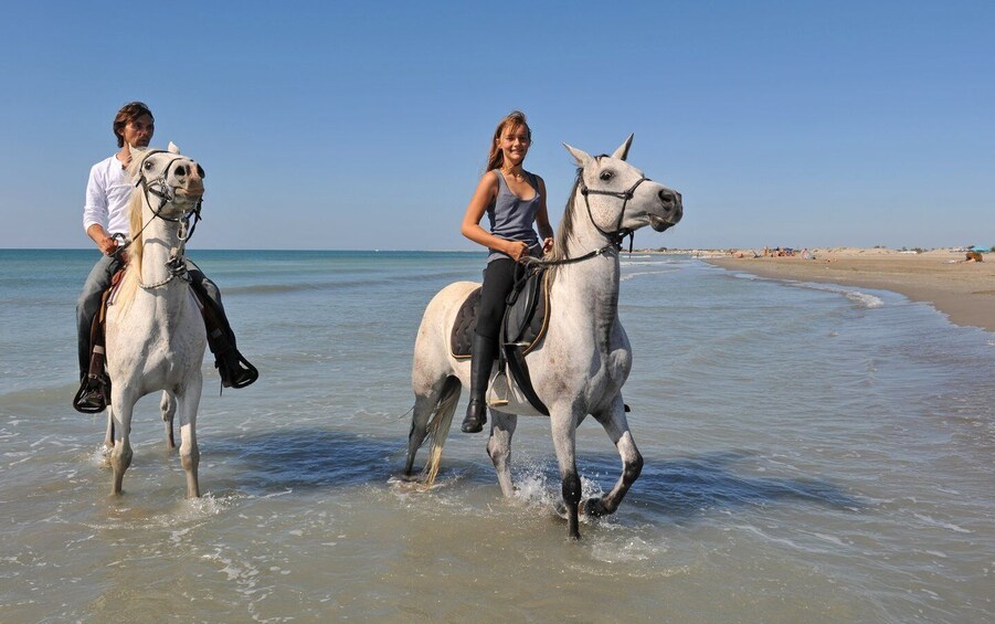 Bodrum: Horseback Riding Experience