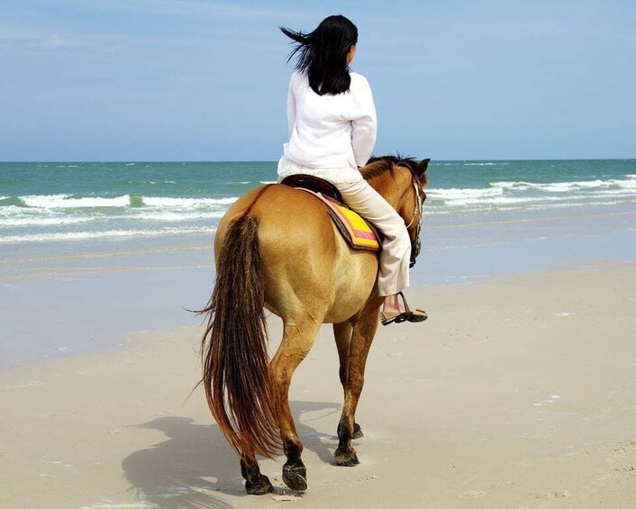 Picture 4 for Activity Bodrum: Horseback Riding Experience