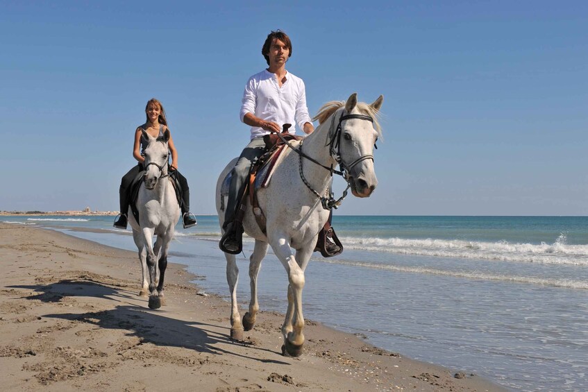 Picture 3 for Activity Bodrum: Horseback Riding Experience