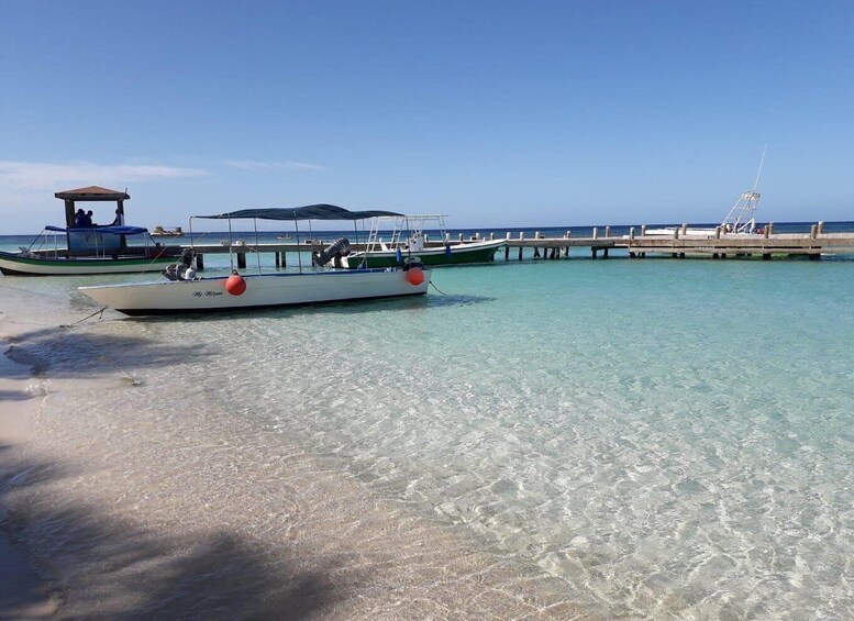 Picture 4 for Activity Roatan: Guiden Tour by the Cristal waters of the Caribbean!