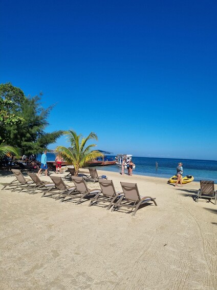 Picture 6 for Activity Roatan: Guiden Tour by the Cristal waters of the Caribbean!