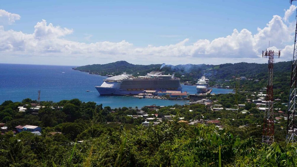 Picture 8 for Activity Roatan: Guiden Tour by the Cristal waters of the Caribbean!