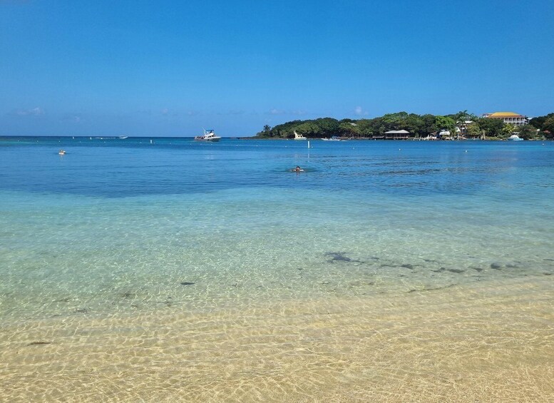 Picture 5 for Activity Roatan: Guiden Tour by the Cristal waters of the Caribbean!