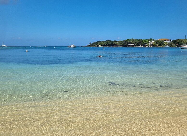 Picture 5 for Activity Roatan: Guiden Tour by the Cristal waters of the Caribbean!