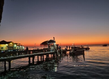 Roatan: Guiden Tour by the Turquoise waters of the Caribbean