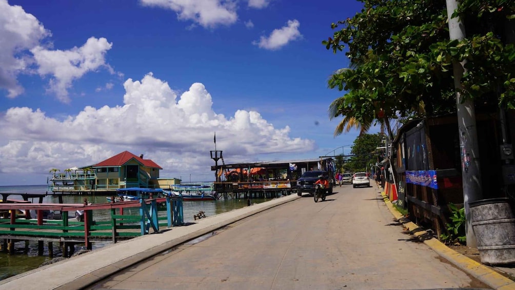 Picture 6 for Activity Roatan: Guiden Tour by the Cristal waters of the Caribbean!