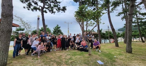 Geoje Island: Private or Shared Day Tours (Max 6)