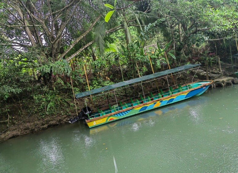 Picture 2 for Activity Monkey mangrove tour Quepos Puntarenas