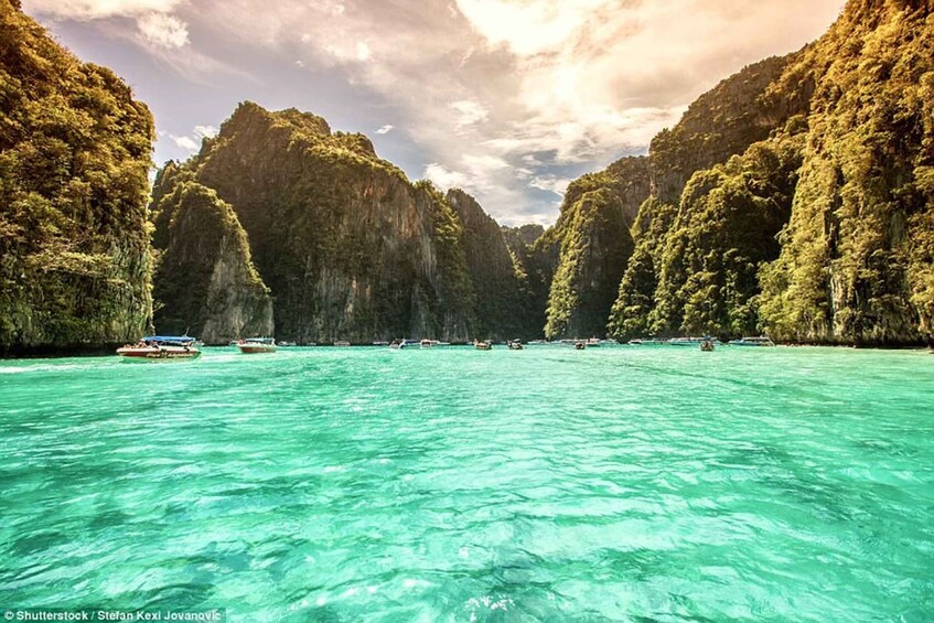 Picture 3 for Activity From Phuket: Phi Phi and Bamboo Island Private Boat Tour