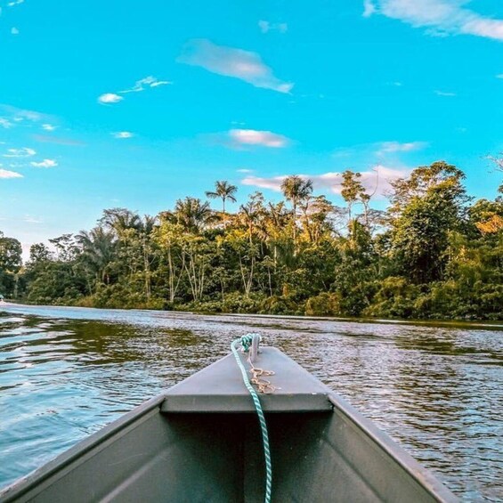 Picture 5 for Activity From Leticia: Wild Amazonas Adventure 4-Day Tour